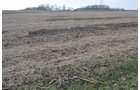 Property photo 33 - 98+/- Acres Offered in 6 Tracts or Combinations, Noble County, Indiana Farm